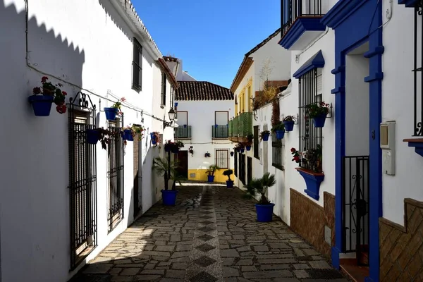 Saksı ve basamaklı sokağın ortasında Estepona Haziran 2017 astar asılı sepetler