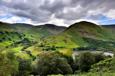 Hartssop düşük ahşap kadar evden gelen