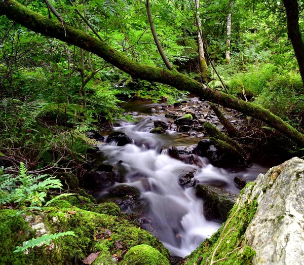 Água Corrente Rápida Wythop Beck — Fotografia de Stock