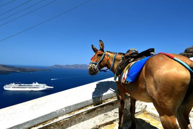 Oia, Santorini, Yunanistan-8 Temmuz 2018: at söyleyerek Merhaba P&O Okyanusya bakan