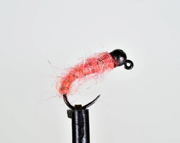 Black beaded Pink shrimp fly imitation — Stock Photo, Image