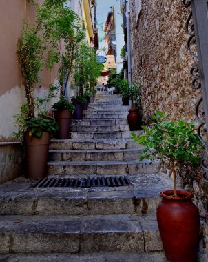 Merdivenlerden çıkan yetiştiriciler