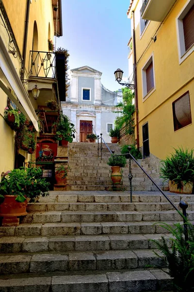 Pflanzkübel auf der Treppe — Stockfoto