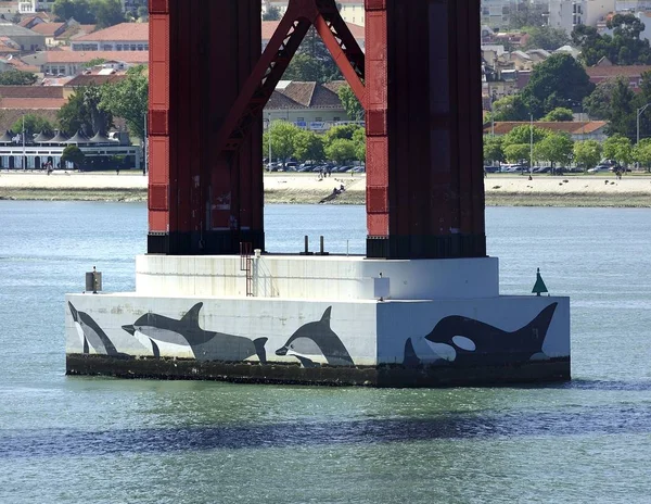 Les dauphins et le pont du 25 avril — Photo