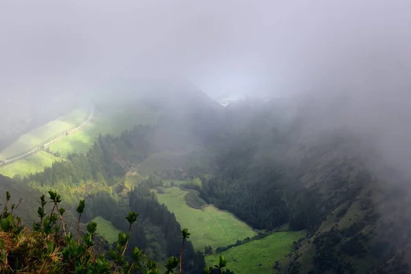 Tierra de cultivo verde y niebla — Foto de Stock