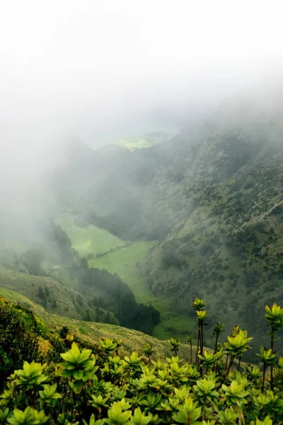 Tierra de cultivo verde y niebla — Foto de Stock
