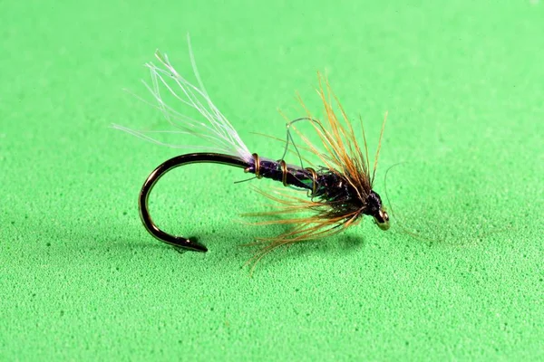 Flash back nymph trout fly imitation — Stock Photo, Image