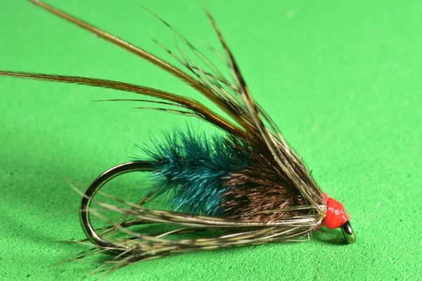Longhorn Sedge trout fly imitation — Stock Photo, Image