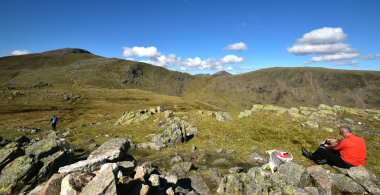 Base Brown'da mola vermek