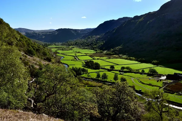 De groene velden van de Seathwaite-vallei — Stockfoto