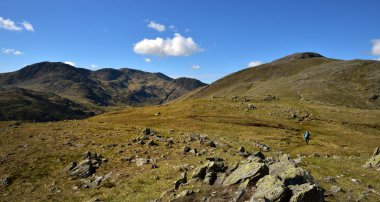 Base Brown'dan Green Gables'a patika