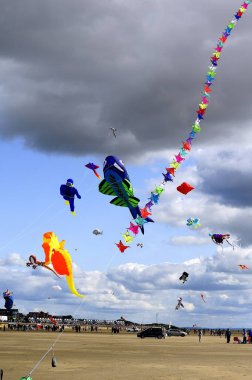 Bir çizgi balık uçurtma