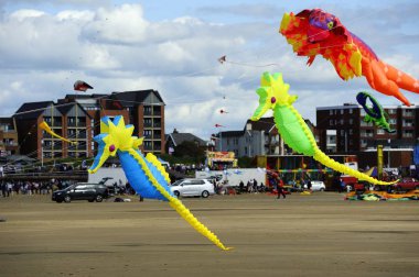 Bir çizgi de Denizatı uçurtma