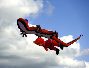 bukalemun ve birlikte uçan bir oyuncak