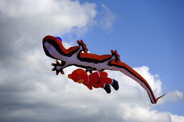 bukalemun ve birlikte uçan bir oyuncak