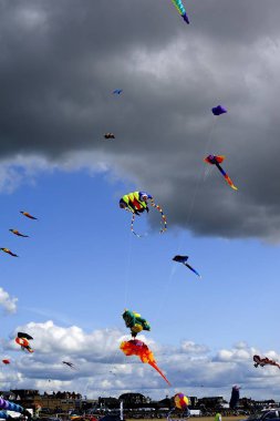 Bir çizgi balık uçurtma