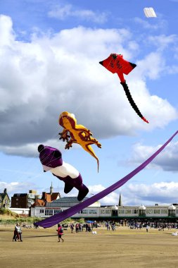 Teddy ayı, kertenkele ve sting ray Balık uçurtma bir çizgi