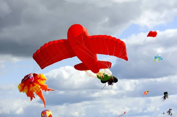 Wallace hält sich am Flugzeug fest — Stockfoto