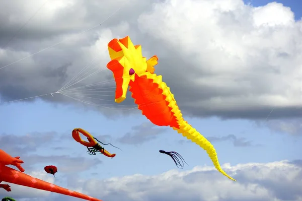 カラフルなシーホース凧が高く飛ぶ — ストック写真
