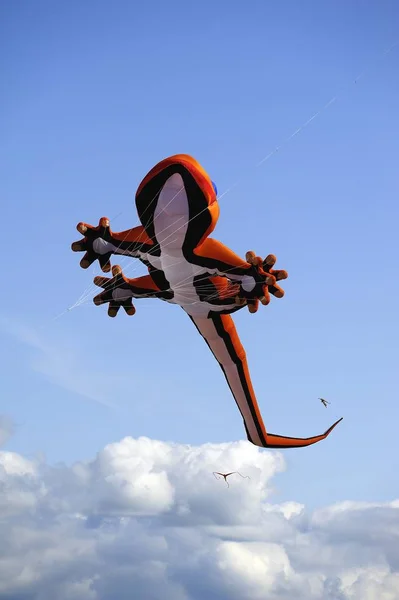 大きなカラフルなカメレオン凧が高く飛ぶ — ストック写真