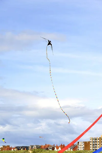 Cometa de tunt y bucles de fyling de cola — Foto de Stock