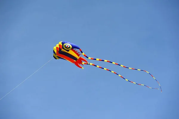 Flerfärgad kite flygande hög — Stockfoto