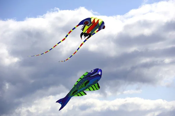 魚と刺し傷の凧が一緒に飛んでいく — ストック写真