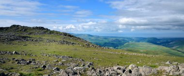 Slight Side'ın sırtı