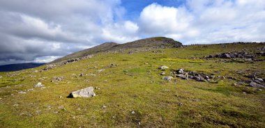 Slight Side için fient parça 