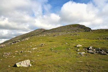 Slight Side için fient parça 