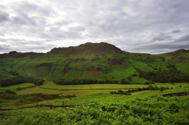 Harter Vadinin üstüne düştü