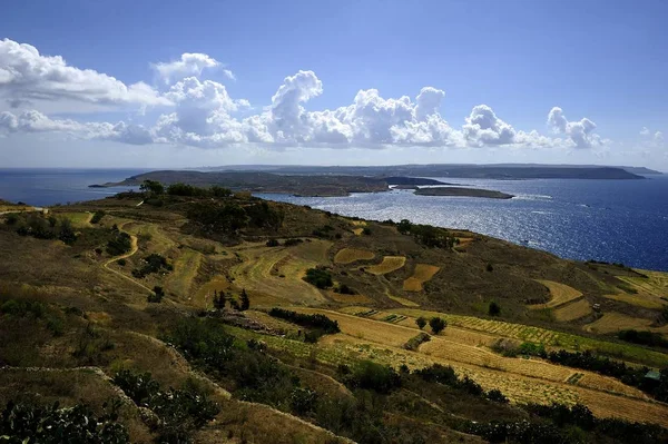 Campos castanhos das terras agrícolas — Fotografia de Stock