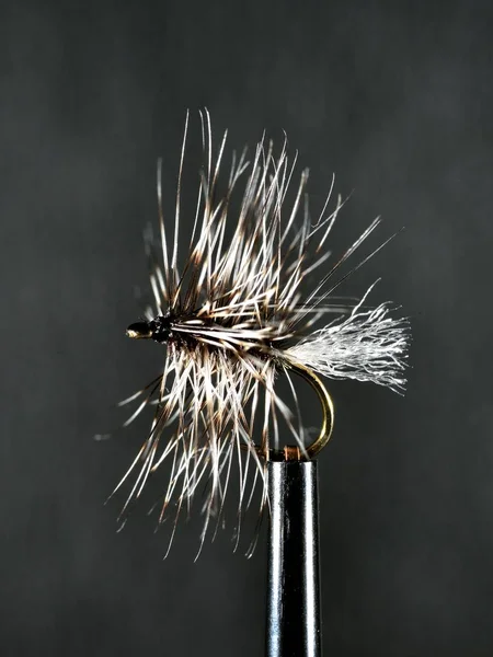 Griffths Gnat for Trout fishing — ストック写真