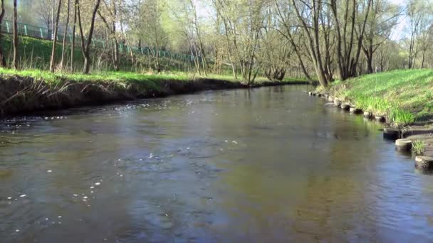 Spring river, over the river — Stock Video