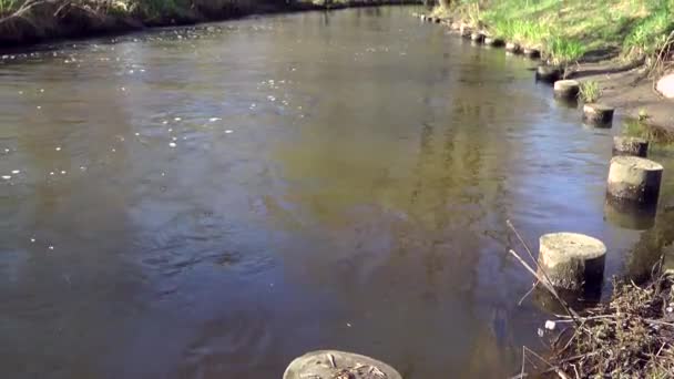 Río de manantial, sobre el río Vídeo De Stock