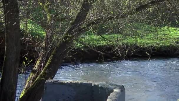 Río de primavera, sobre el panorama del río Vídeos De Stock Sin Royalties Gratis