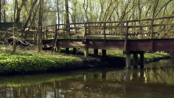 Houten brug, weg door het park. — Stockvideo