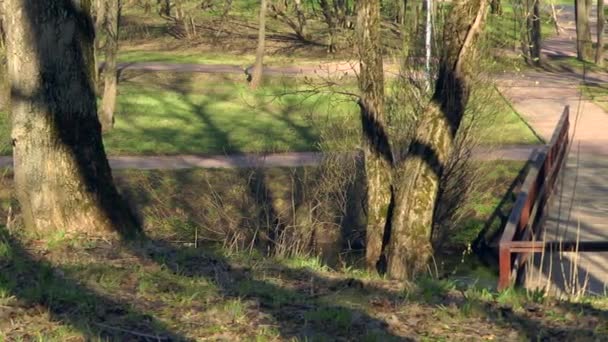 Wooden bridge, road throught the park. — Stock Video