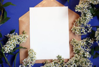 Çiçeklerle üst görünüm arka plan. Çiçek kompozisyonu. Bitkilerle maket kartı. Mavi arka plan üzerinde kartpostal, zarf ve çiçeklerle yapılan mockup.