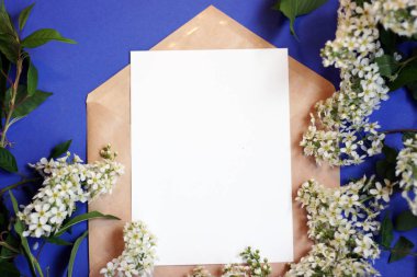 Çiçeklerle üst görünüm arka plan. Çiçek kompozisyonu. Bitkilerle maket kartı. Mavi arka plan üzerinde kartpostal, zarf ve çiçeklerle yapılan mockup.