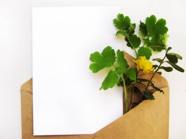 Çiçek kompozisyonu. Bitkilerle maket kartı. Beyaz arka plan üzerinde kartpostal, zarf ve sarı çiçek ile mockup.                                
