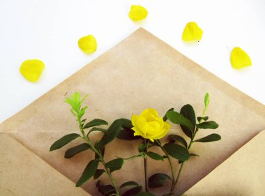   Çiçeklerle üst görünüm arka plan. Çiçekler envilope ile kompozisyon. Bitkilerle maket kartı. Beyaz arka plan üzerinde kartpostal, zarf ve sarı çiçek ile mockup.                               