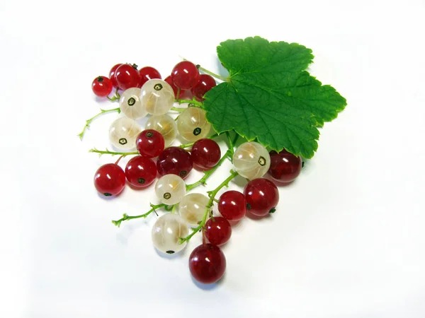 成熟的多汁红白醋栗浆果 隔离在白色桌子上 — 图库照片