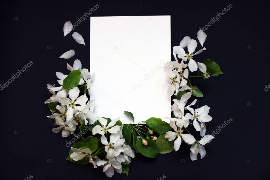 Top view background with flowers. Flowers composition.  Mockup card with plants.