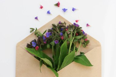 Mavi çiçeklerle üst görünüm arka plan. Çiçek kompozisyonu. Bitkilerle maket kartı. Beyaz arka plan üzerinde kartpostal, zarf ve mavi çiçek ile mockup.