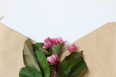 Çiçeklerle üst görünüm arka plan. Çiçek kompozisyonu. Bitkilerle maket kartı. Beyaz arka plan üzerinde kartpostal ve çiçekler ile Mockup.   