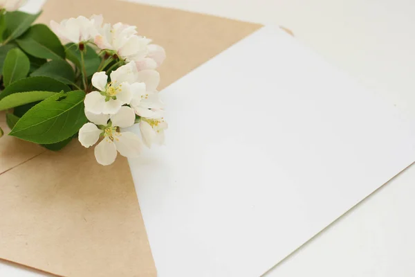 Top View Background Flowers Flowers Composition Mockup Card Plants Mockup — Stock Photo, Image