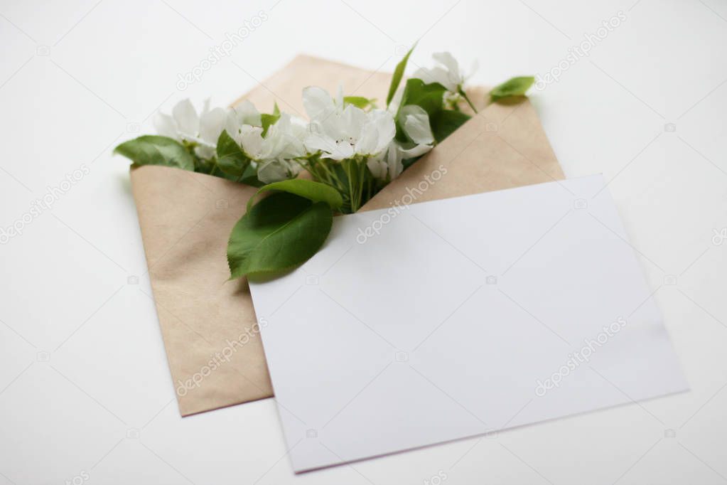 Top view background with flowers. Flowers composition.  Mockup card with plants. Mockup with postcard and flowers on white background.   