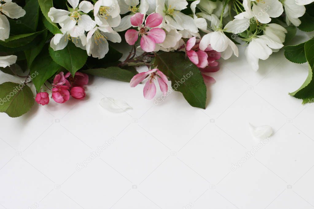 Top view background with apple flowers. Flowers composition.  Mockup card with plants. Mockup with  flowers on white background.    