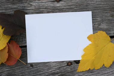  Sonbahar yapraklarının düz kompozisyonu ve ahşap arka planda boş kağıt. Kartı düzenle